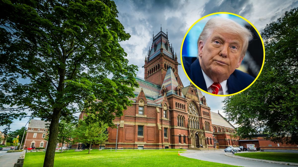 Investigación del Gobierno Trump concluyó que Harvard violó derechos de estudiantes judíos