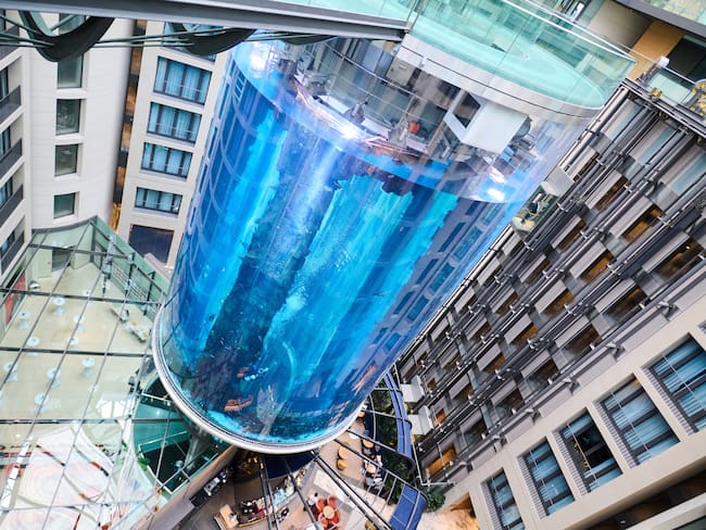 AquaDom en SEA LIFE que contaba con alrededor de 1.700 peces en un millón de litros de agua, incluidos peces payaso, caras de zorro venenosas y enjambres de aletas plateadas.