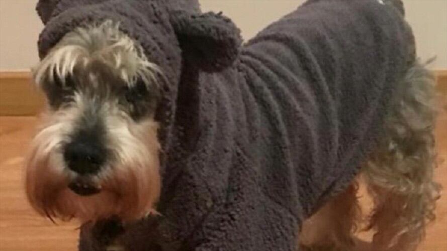 La tutela fue presentada por la dueña de "Clifor". Foto: