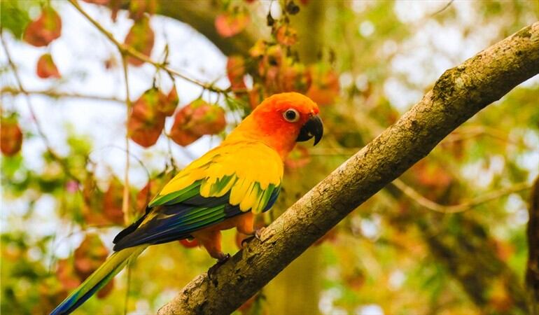 El Aviario Nacional de Colombia es un sitio ideal para conocer en Cartagena de Indias. Foto: #AliadosW