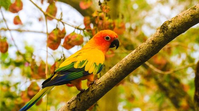 El Aviario Nacional de Colombia es un sitio ideal para conocer en Cartagena de Indias. Foto: #AliadosW