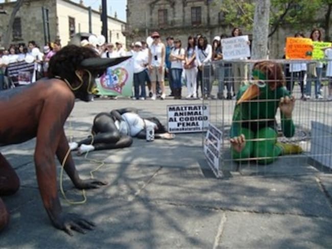 Colombia marcha por los Derechos de los Animales