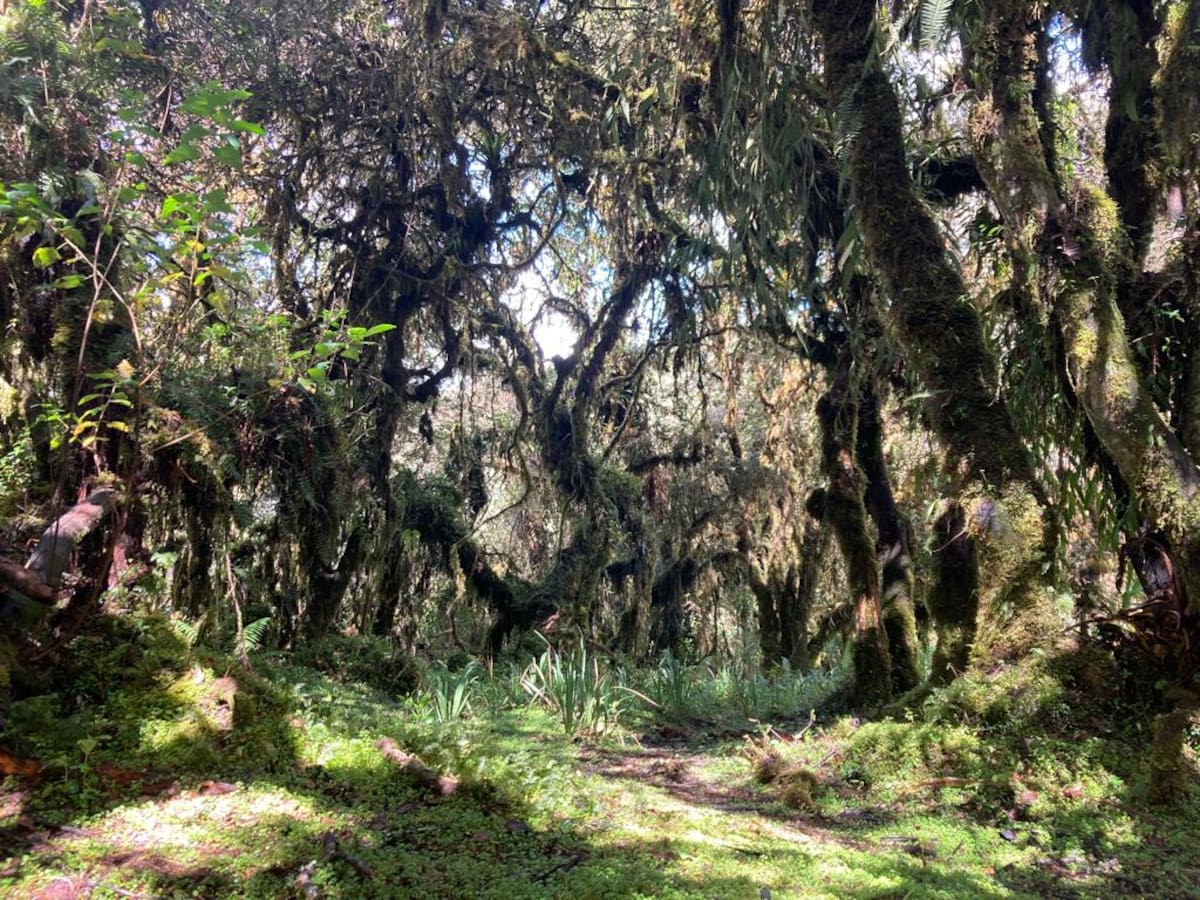 Se reabrió la reserva El Malmo en Tunja, Boyacá