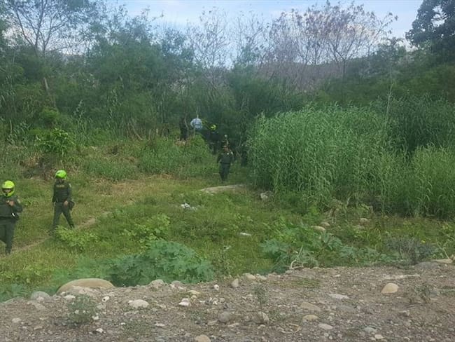 Autoridades hallan fosa común en la frontera colombo-venezolana. Foto: Cortesía Richard Quiñónez