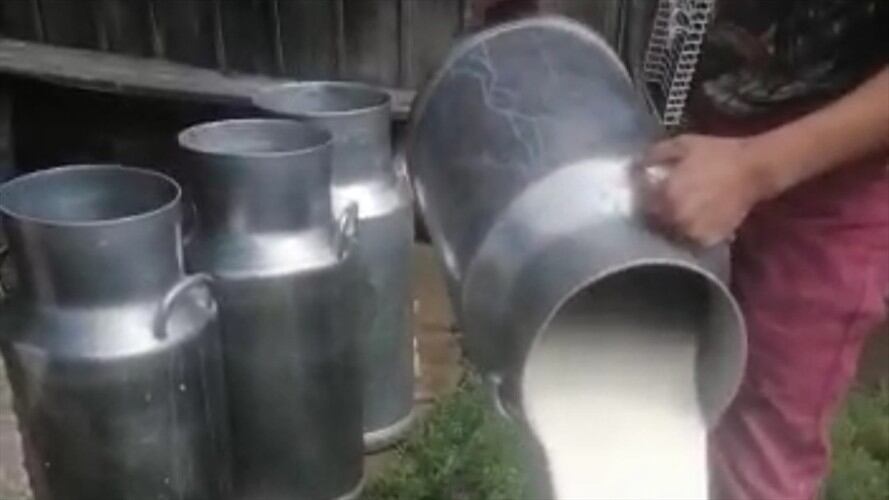 La autoridad ambiental advirtió que la leche es contaminante para las fuentes hídricas.. Foto: W