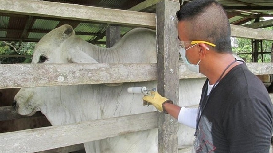 Esperamos que el Gobierno ruso nos levante la restricción prontamente: MinAgricultura. Foto: