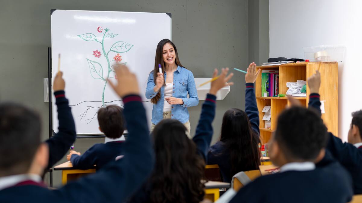 Sistema Maestro abrirá más de 1.000 nuevas plazas para profesores 2025: Aplique