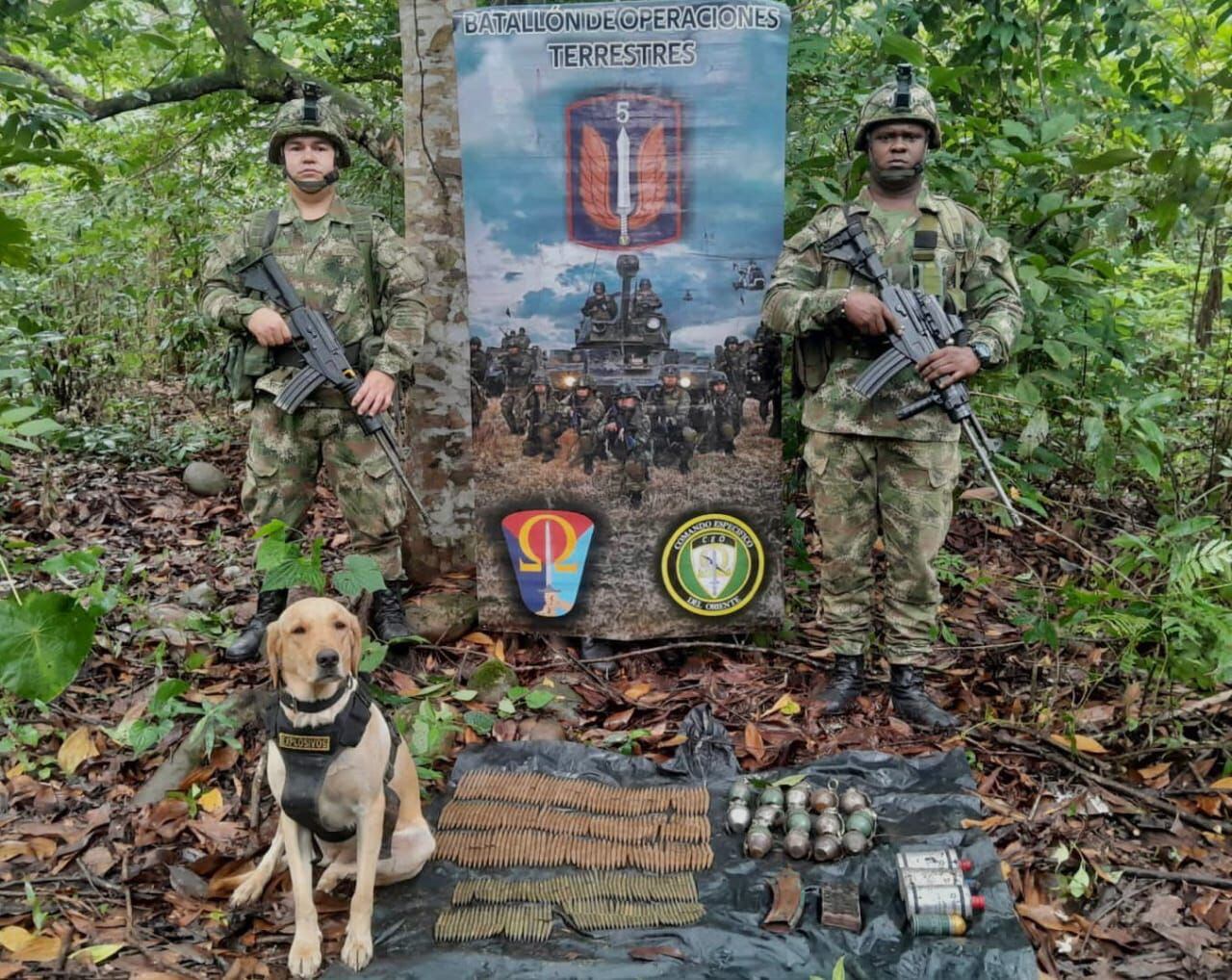 Happy, el perro de las FF.MM. Foto: Suministrada