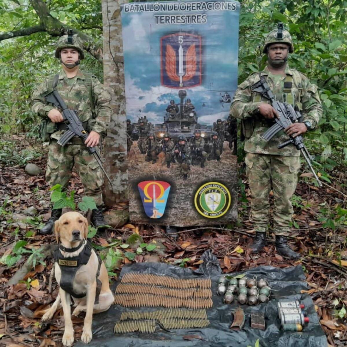 Happy, el perro de las FF.MM. que murió tras atentado terrorista en Puerto Rico, Meta