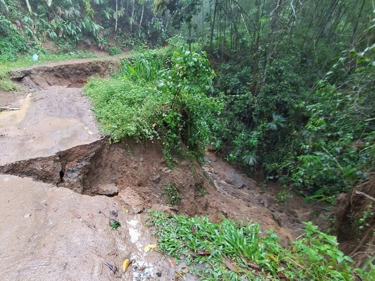 Alerta roja y naranja en municipios del Valle del Cauca por fuertes lluvias
