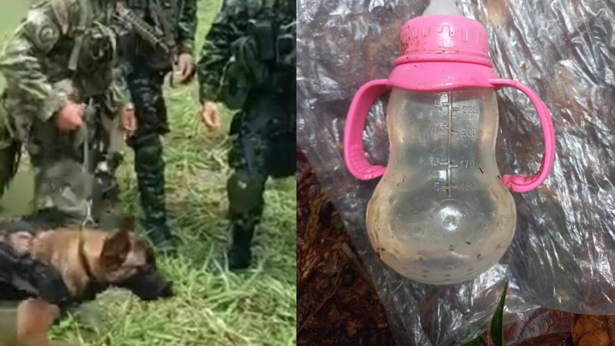 Fueron halladas pertenencias de bebé que iba a bordo de avión desaparecido en Guaviare