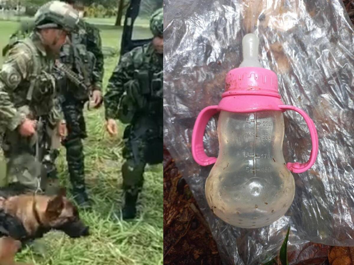 Fueron halladas pertenencias de bebé que iba a bordo de avión desaparecido en Guaviare