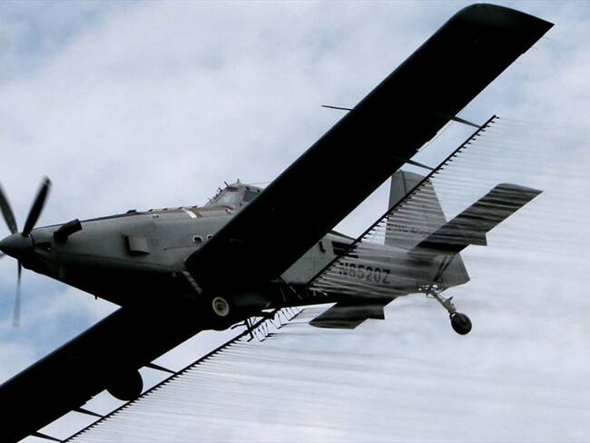 Las reacciones se dieron tras conocerse la iniciativa del Gobierno Nacional relacionada con la reactivación de las aspersiones con la sustancia . Foto: Colprensa