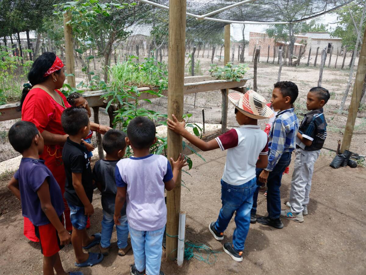 Laura Sarabia, directora del Dapre, supervisó avances del proyecto ‘Misión La Guajira’