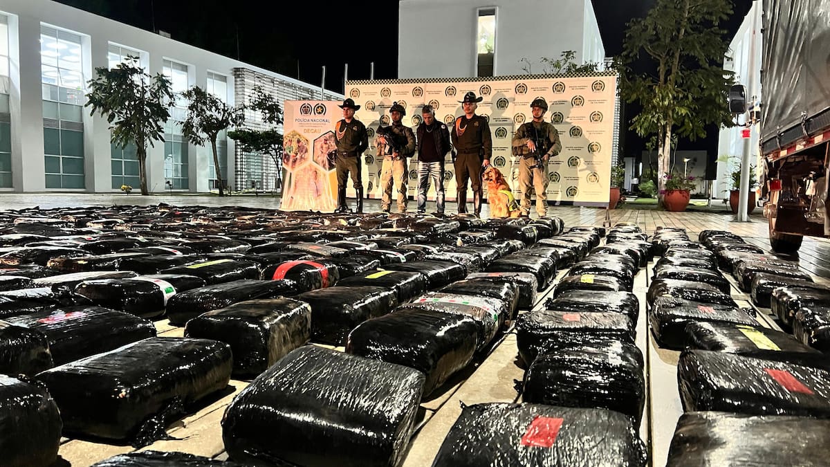 Más de una tonelada de marihuana que pertenecería a las disidencias fue incautada en el Cauca
