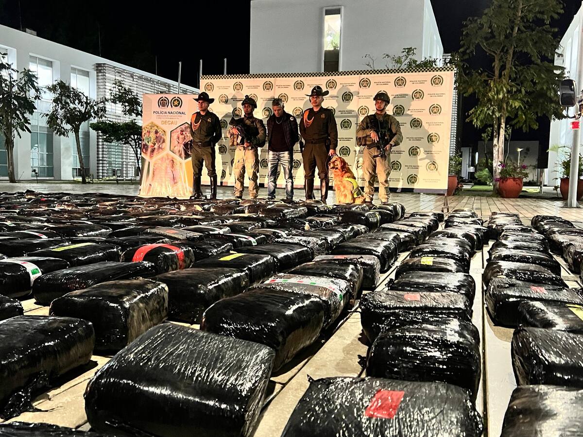 Más de una tonelada de marihuana que pertenecería a las disidencias fue incautada en el Cauca