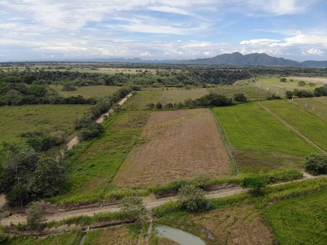 Proyecto Llano Verde en Ibagué: Lotes campestres para construir la casa soñada y a los mejores precios