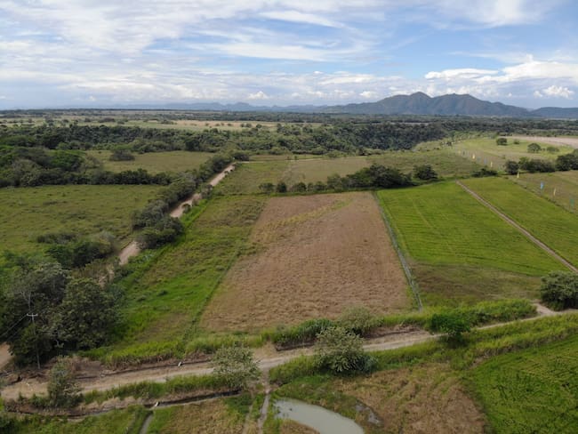 Proyecto Llano Verde en Ibagué: Lotes  campestres  para construir  la casa  soñada  y  a los mejores precios