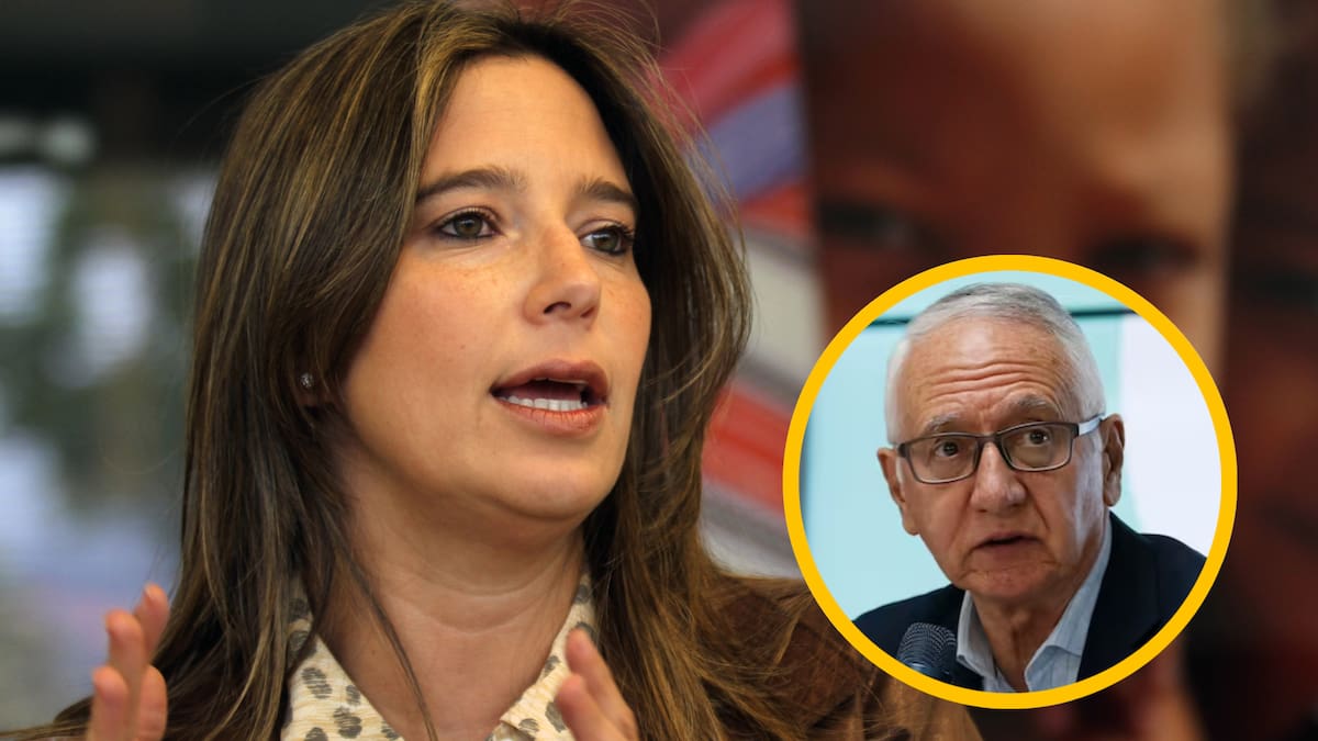 “Patria potestad de los niños es de los padres, nunca del Estado”: exdirectora del ICBF a MinSalud