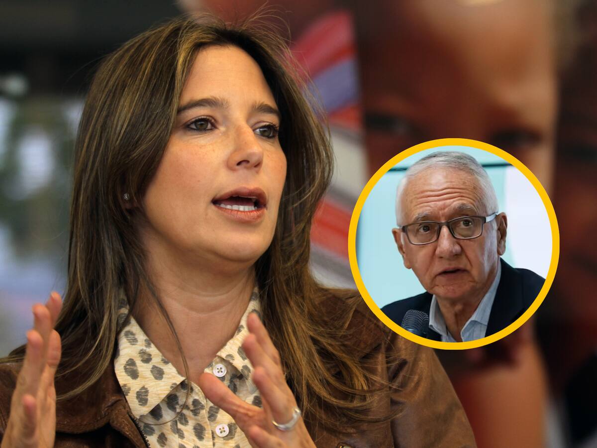 “Patria potestad de los niños es de los padres, nunca del Estado”: exdirectora del ICBF a MinSalud