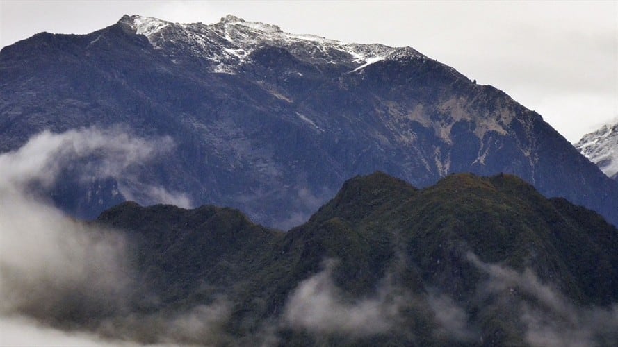 Es uno de los elementos más representativos del Caribe colombiano, pero agoniza.. Foto: Colprensa