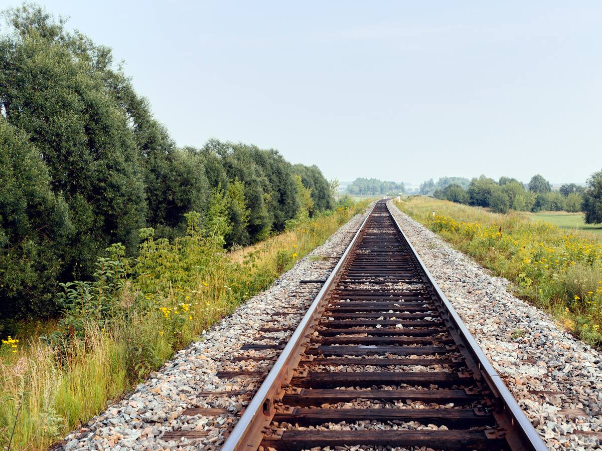 Vendrell apoya proyecto de la ANI para desarrollar tren en el Meta: estos son los detalles