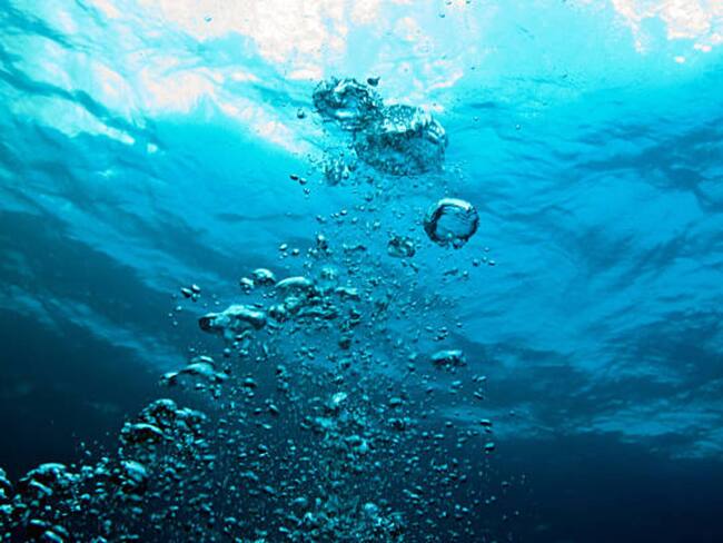 Imagen de referencia/ Getty Images