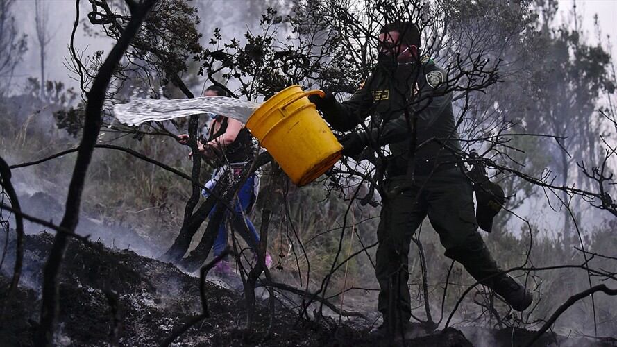 Son 29 los municipios que se mantienen en alerta roja en el departamento por probabilidad de incendios forestales. Foto: Colprensa