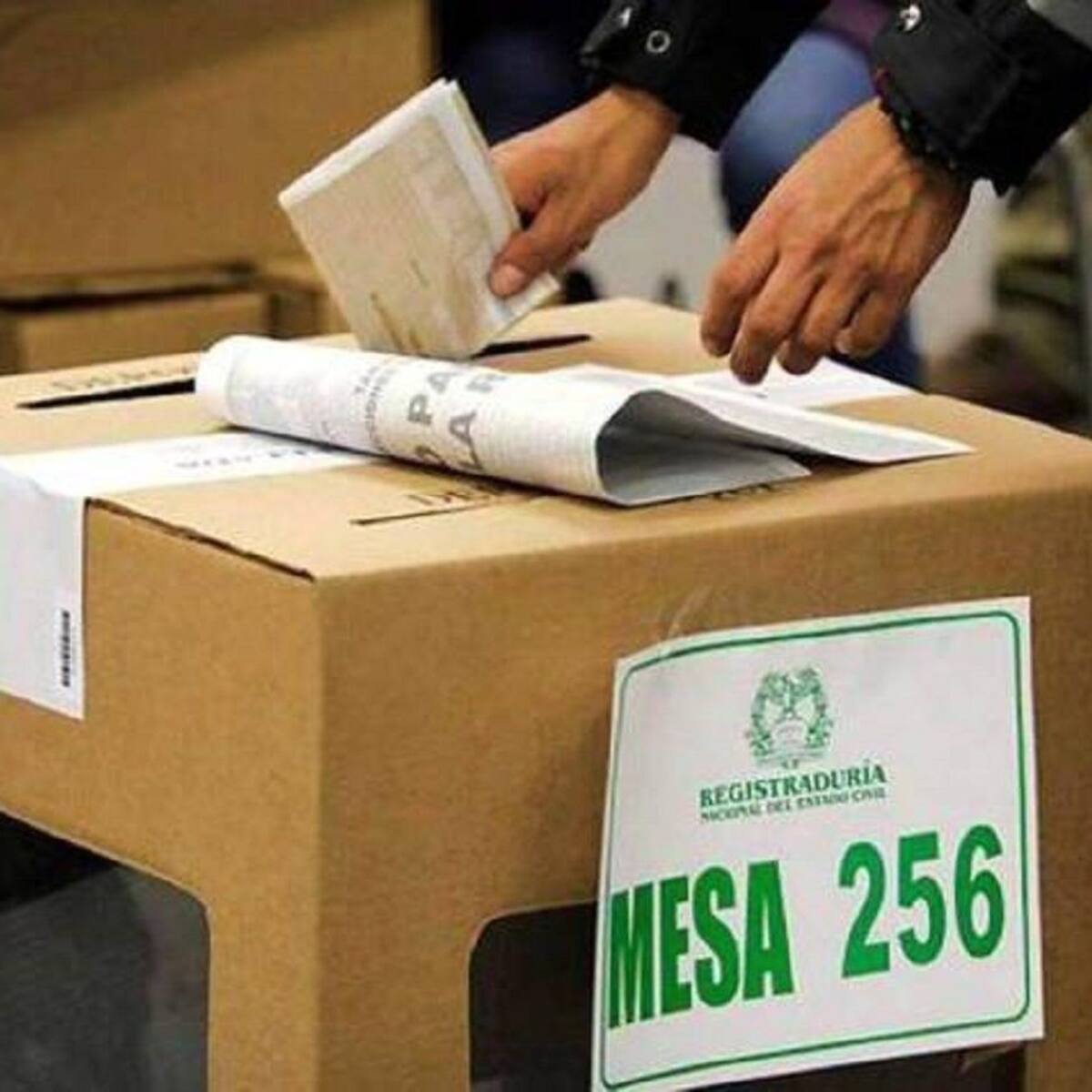 “Sería lógico que los partidos, a estas alturas, designaran a sus propios auditores”: exregistrador