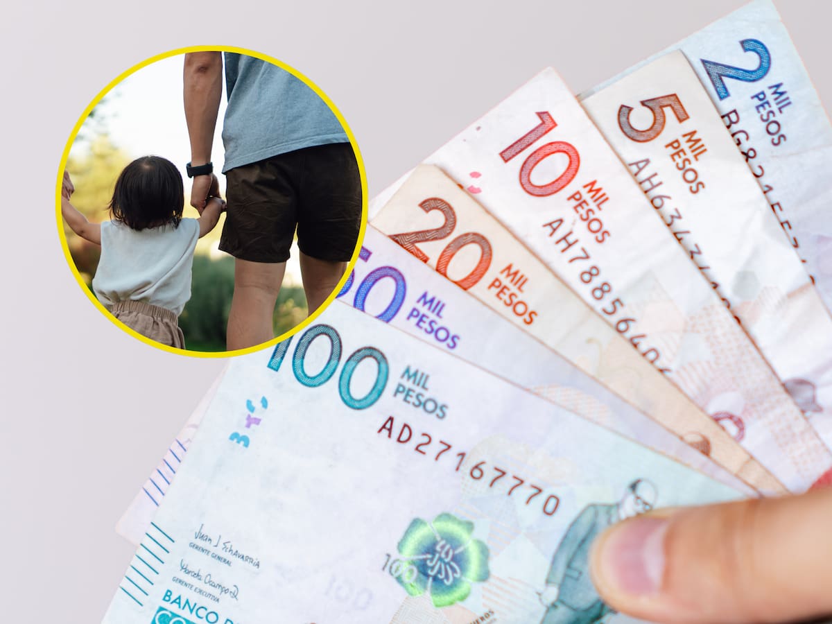 ¿La prima se incluye dentro de la cuota alimentaria para hijos? Explicación según la Ley