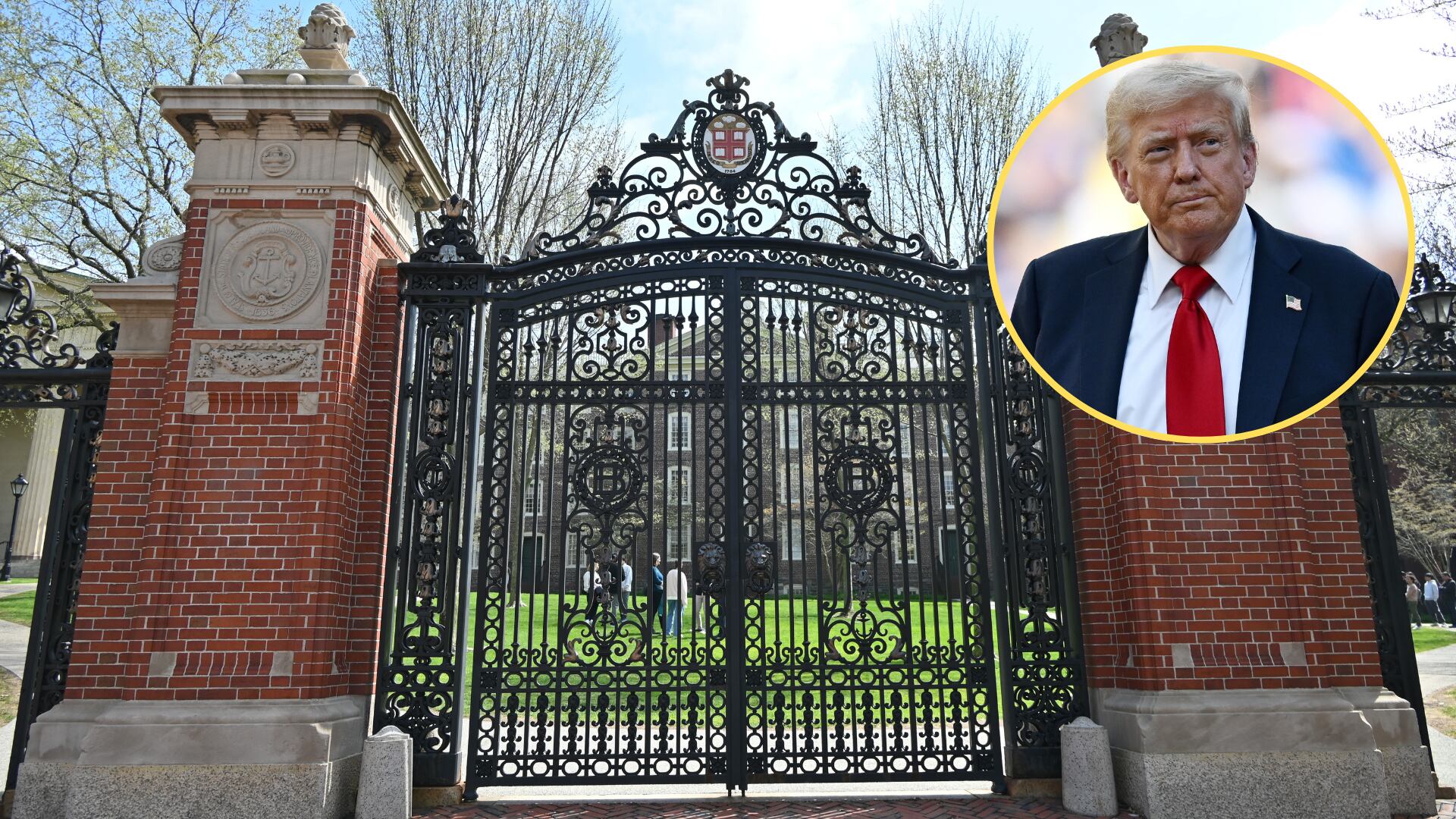 Universidad de Brown. Foto:  Kyle Mazza/Anadolu via Getty Images - Donald Trump. Foto: Getty Images.