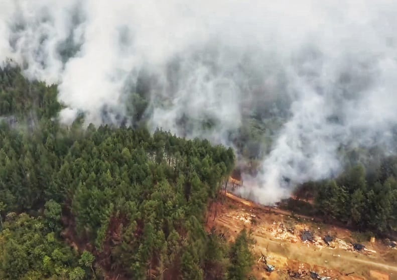 En semanas anteriores, ya se habían registrado incendios provocados en la reserva forestal. Crédito: Red de Apoyo.