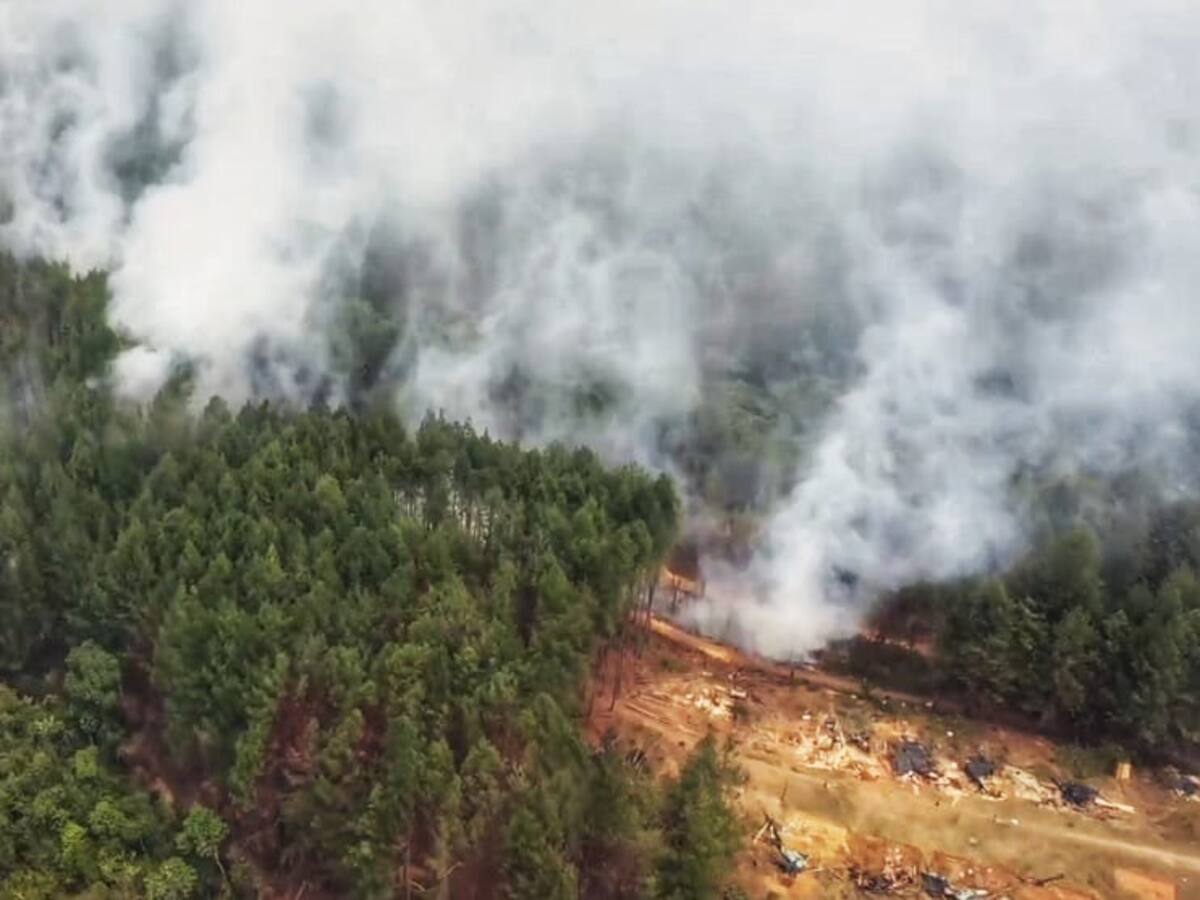 El sector productivo rechazó los nuevos ataques de presuntos invasores en el Cauca
