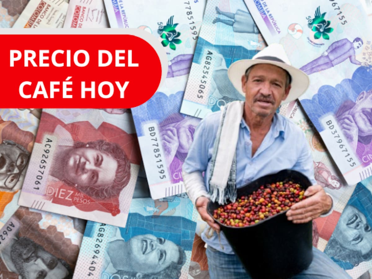 Así cerró la semana el café: cotización oficial de la carga de 125 kg para HOY, 20 de febrero