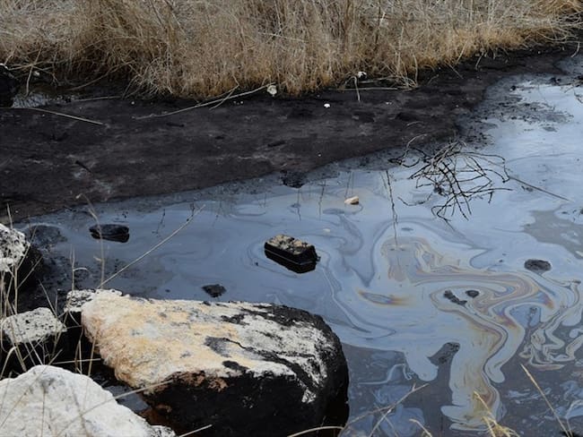 Denuncian que Mansarovar estaría contaminando humedales con hidrocarburos. Foto: Getty Images