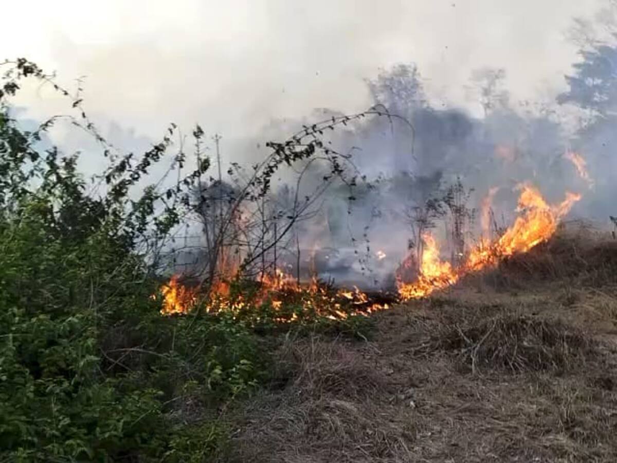 Mantienen alerta en ocho municipios por posibles incendios forestales en Córdoba
