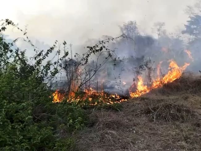 Incendio forestal en zona rural de Sahagún, Córdoba. Foto: captura de video.
