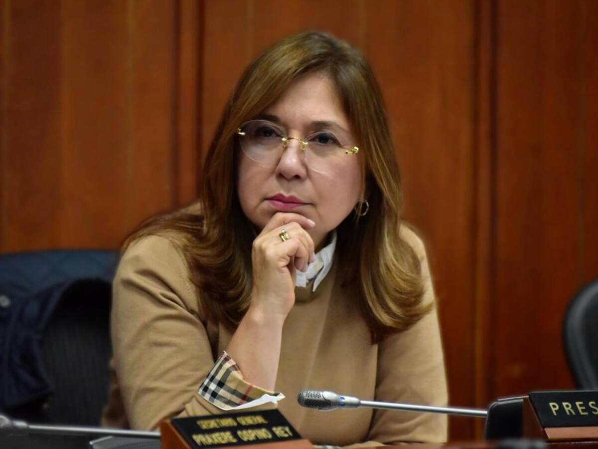 “No solucionaba los problemas de la gente”: Norma Hurtado tras archivo de la reforma a la salud
