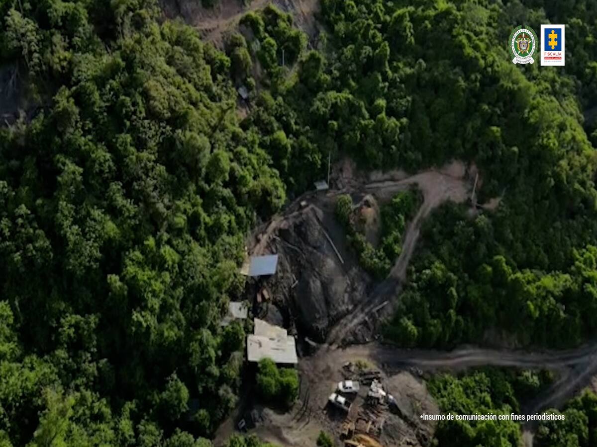 Desarticulan red delictiva señalada de explotar carbón a gran escala de manera ilegal