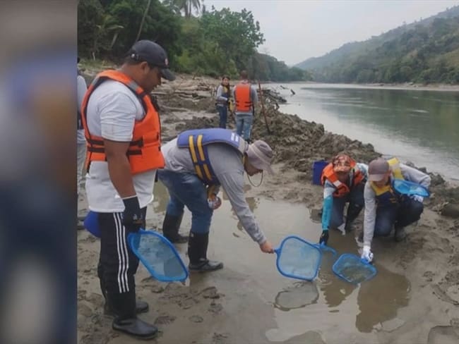 Tragedia ambiental en el río Cauca. Foto: La WCon Vicky Dávila