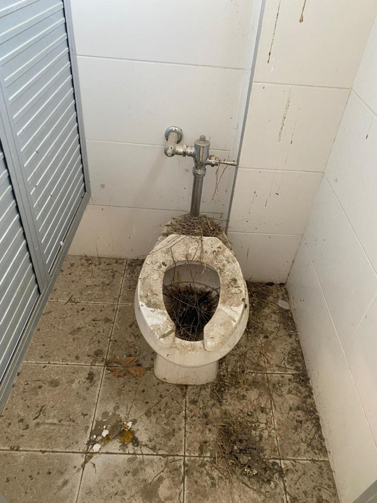 Baños del Colegio/ Cortesía 