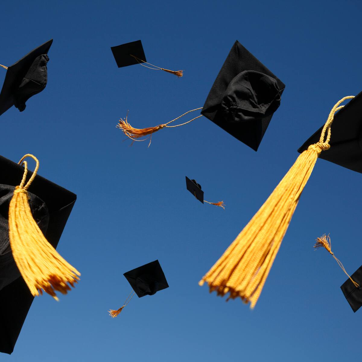 Vamos Pa’ Lante: ¿Cómo va el recaudo de la Universidad EAFIT?