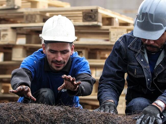 Comunidad bogotana denuncia afectaciones en viviendas por construcción de edificio