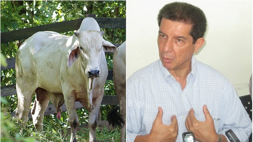 En diciembre de 2018, el ente de control entregó al Ministerio de Agricultura y Desarrollo Rural una auditoría de cumplimiento en la que hizo la petición. . Foto: Colprensa