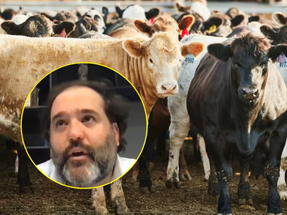 Presunta pirámide ganadera: Felipe Rocha seguirá privado de la libertad