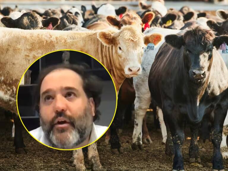 Con la finca de la mamá de Felipe Rocha pagarán a afectados de pirámide ...