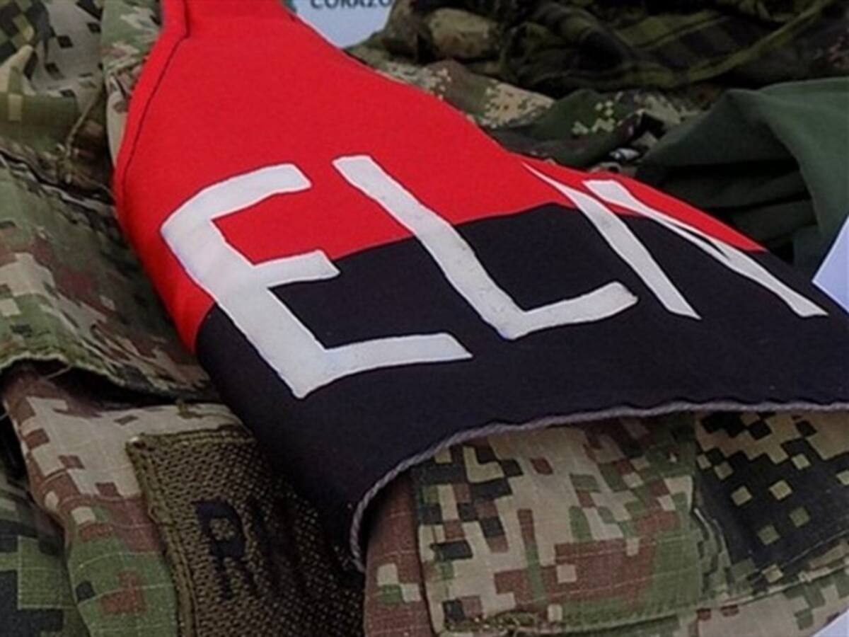 Gobierno denunciará al ELN ante la ONU por apología a la guerra utilizando niños