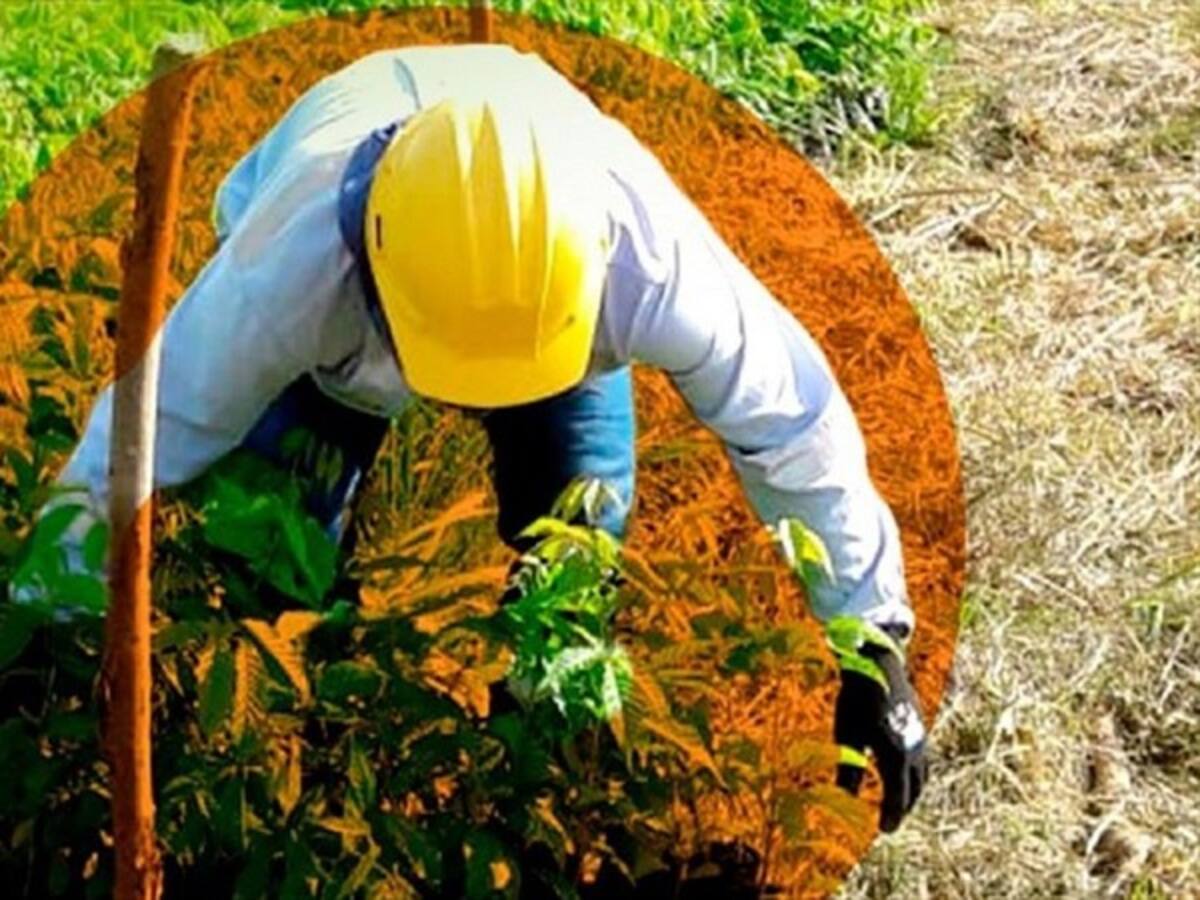 Conozca el modelo de minería bien hecha de AngloGold Ashanti