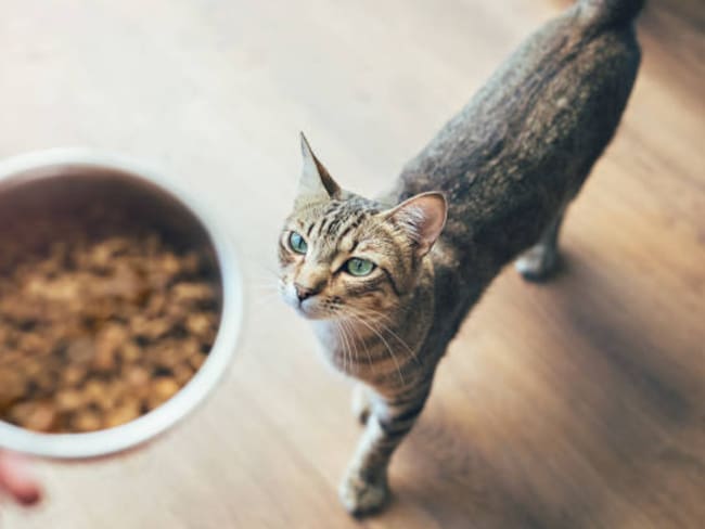 Imagen de referencia/ Getty Images