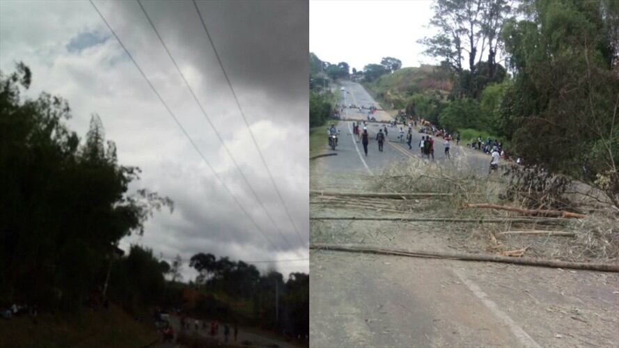 En el marco de la protesta, la comunidad taló un árbol que colapsó sobre las líneas de energía. Foto: Compañía Energética de Occidente